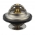 TERMOSTAT DEUTZ AGROTRON LAMBORGHINI SAME 04224847