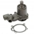 POMPA WODY MASSEY FERGUSON LANDINI 3637468M91