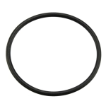 ORING TŁOKA MAŁY CASE 325402571R1